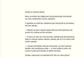 Knížka Malá vánoční povídka aneb Jak jsem se ztratil