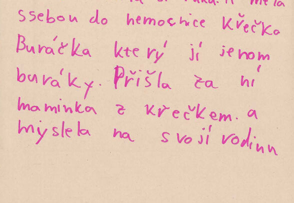 DDR_skeny13.jpg