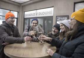 Čepice beanie unisex