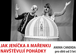 Divadlo v Dlouhé