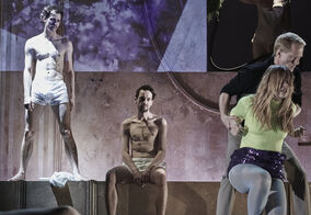 S. Toman, M. Řezníček, Š. Fingerhutová, P. Batěk