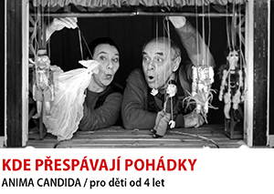Divadlo v Dlouhé