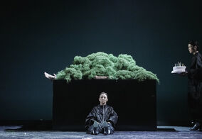 M. Zimová, M. Turková