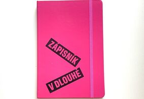 Zápisník v Dlouhé 