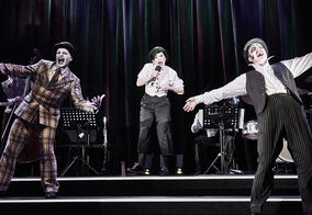 M. Matejka, M. Zimová, J. Meduna