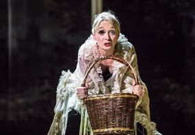 Sen v červeném domě 