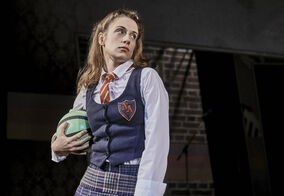 Tajný deník Adriana Molea